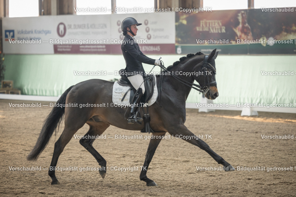 _D5A4062 | Emotionale Pferde- & People-Fotografie rund um Heidelberg, Leimen & Umgebung. Natürliche Fotos von Pferd, Mensch & Familie. Jetzt Termin sichern!