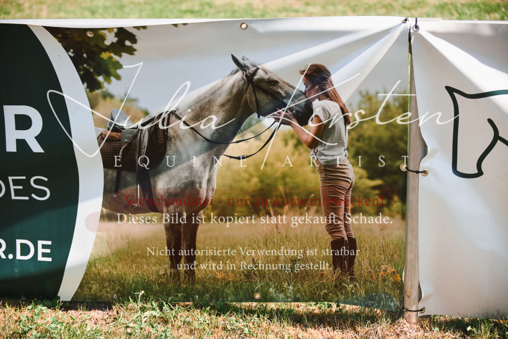 DSC_2688 | Pferde- und Turnierfotografie in Westsachsen. Pferdeportraits, Auftragszeichnungen und intuitive Kunst.