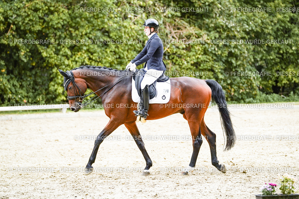 DSC07265 | Pferdegrafie