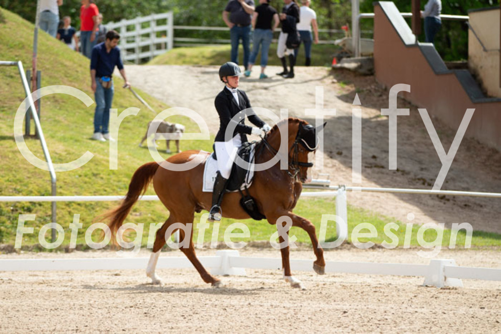 IMG_6465 | Creatify Fotografie