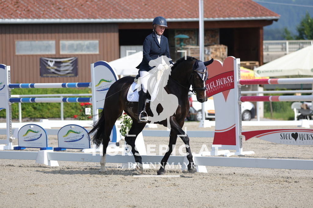 0P6A4520 | Willkommen bei Brunnmayr - Design & Fotografie – Ihrem Spezialisten für Reitturniere und Pferdeveranstaltungen in Oberösterreich, Salzburg und Bayern! Seit über 17 Jahren sind wir leidenschaftlich dabei.