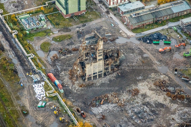Gelsenkirchen231103357 | Luftbild, ehemaliges DSK Bergwerk Lippe  Westerholt, Abrissarbeiten, Egonstraße, an der Stadtgrenze zu Gelsenkirchen, umgeben von herbstlichen Laubbäumen, Hassel, Gelsenkirchen, Ruhrgebiet, Nordrhein-Westfalen, Deutschland