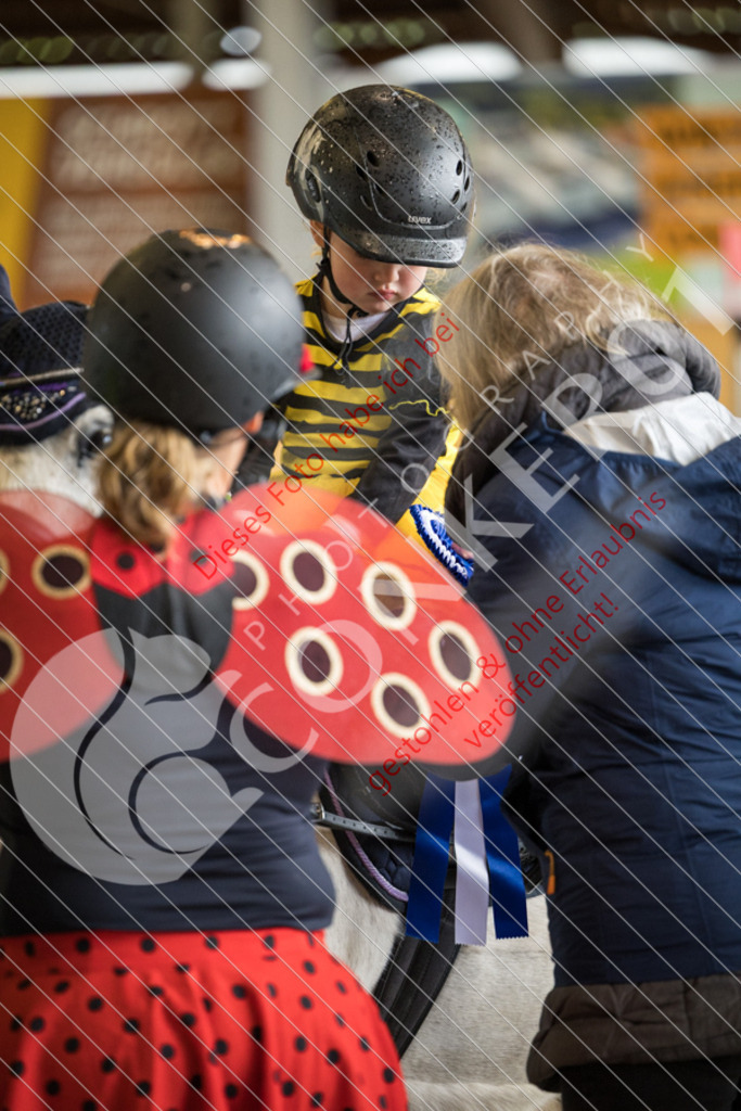 IMG_2024 | Sport-, Event- und Tierfotos in Profiqualität. Einfach auswählen, bestellen und herunterladen. Dein Moment – perfekt festgehalten.