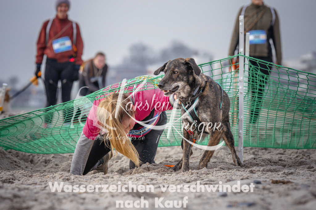 1121_ZZ98498 | kk-dogfotos