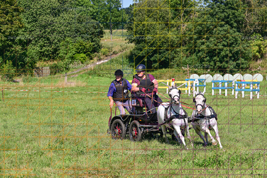 30 Jahre RFV Pulsnitz e.V., Pulsnitz am 09.08.2026 | 30Jahre Reit- und Fahrverein Pulsnitz e.V., Pulsnitz am 08.08.2026Zur 28. breitensportlichen Veranstaltung des RFV Pulsnitz e.V. fanden verschiedene Wettbewerbe in nahezu allen Disziplinen des Pferdesport statt.- Geländefahr-Wettbewerb - Realisiert mit Pictrs.com