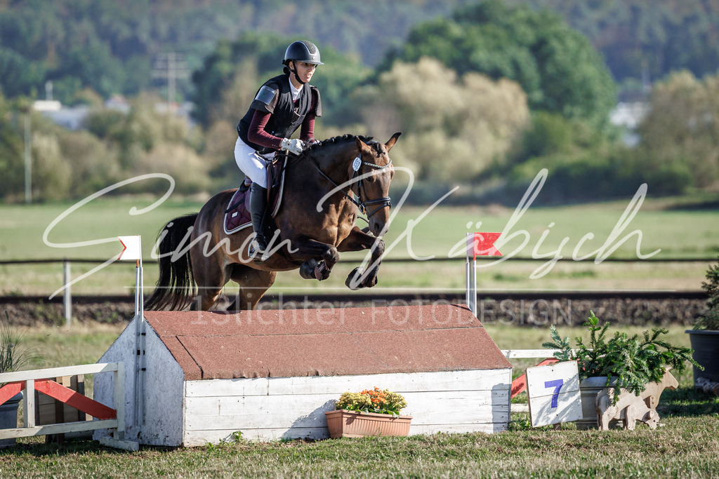 20260905-_3LI0524 | Tierfotografie Pferde, Hunde, Katzen, Haustiere.
Turnierfotografie Reitturniere, Reiten, Springreiten, Dressur in Hanau, dem Main-Kinzig-Kreis und dem Rhein-Main- Gebiet um Frankfurt