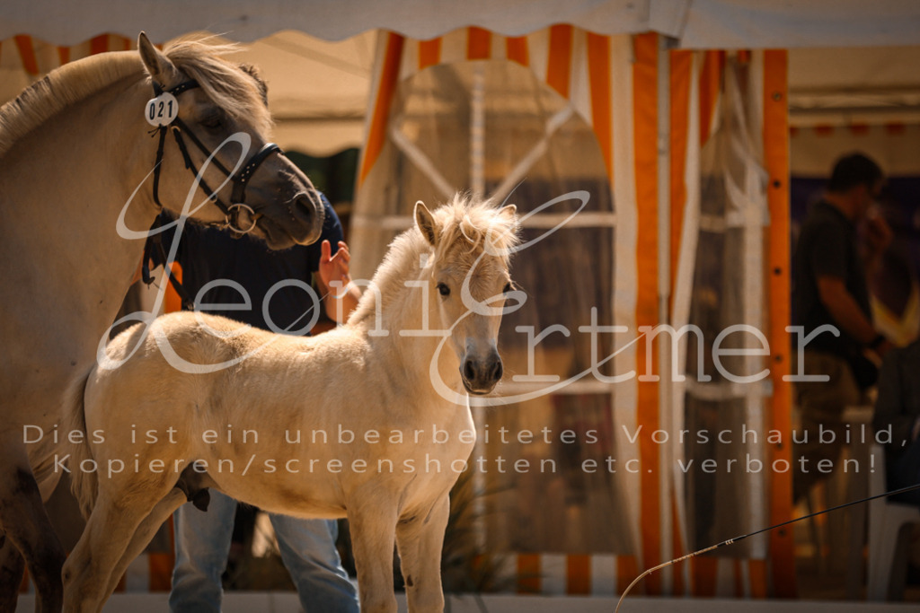 05.DoF00038 | Leoni Ertmer Photography - Realisiert mit Pictrs.com