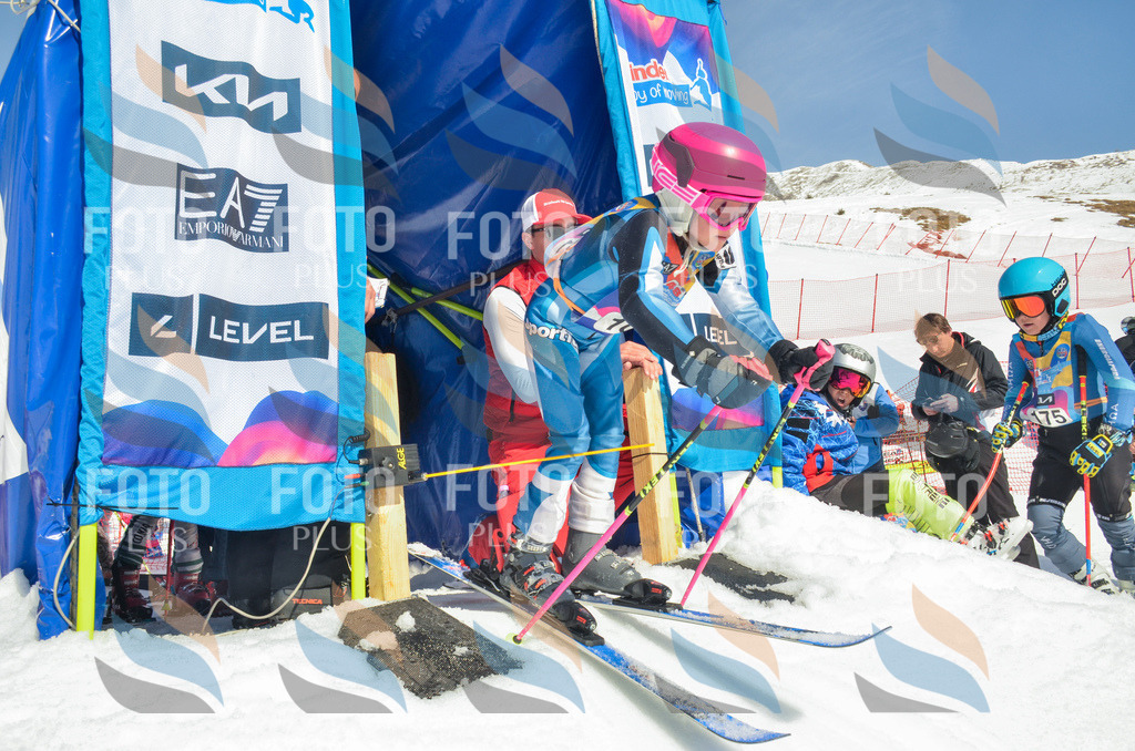 _ELE5796 | holidayphoto