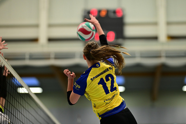 Volleyball I Frauen I Saison 2025-2026 I Regionalliga Nord I 7. Spieltag I VT Hamburg - Schweriner SC III I 26198 | Der Sportfotograf. - Realisiert mit Pictrs.com