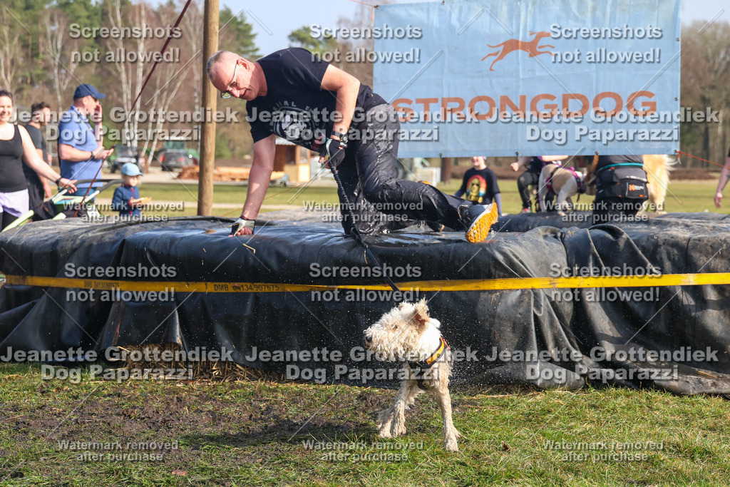 Dog Paparazzi - Strongdog North Mrz26-2094 | Dog Paparazzi Jeanette Grottendiek Fotografie & Videografie - Realisiert mit Pictrs.com