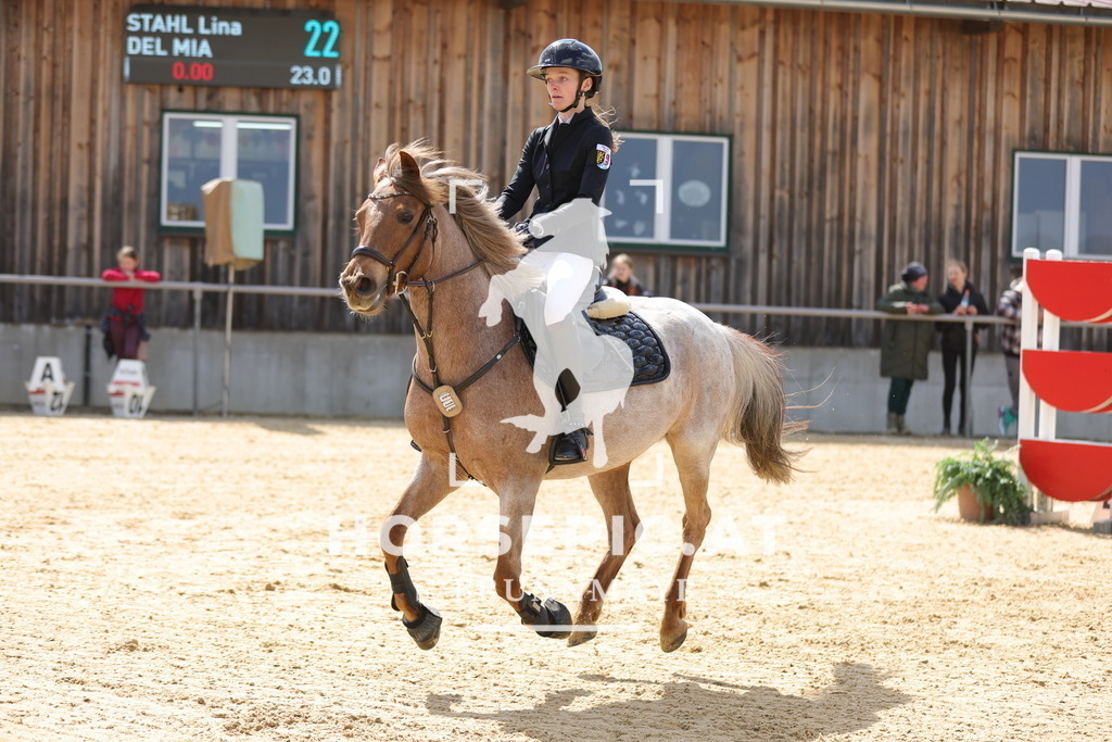 0P6A7753 | Willkommen bei Brunnmayr - Design & Fotografie – Ihrem Spezialisten für Reitturniere und Pferdeveranstaltungen in Oberösterreich, Salzburg und Bayern! Seit über 17 Jahren sind wir leidenschaftlich dabei.