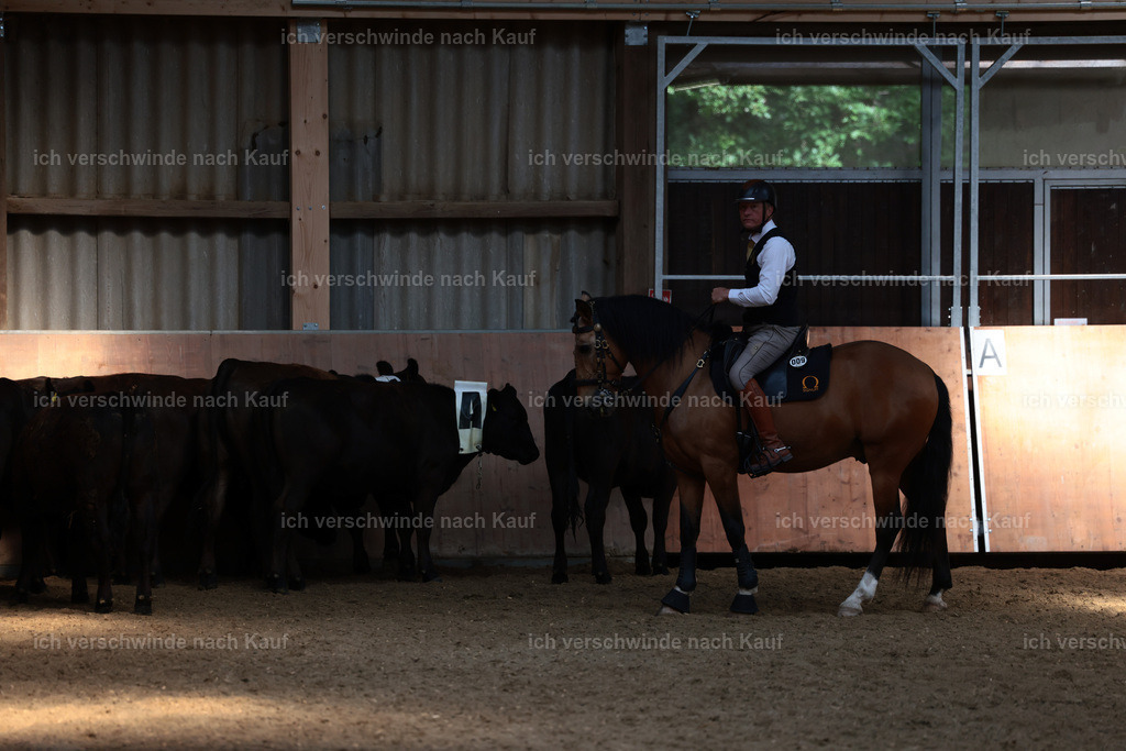 Masterclass_stoibphotography_C2_L7094.JPG | working equitationturnier fotograf videograf stoibphotography marixx film working equitation deutschland reitsport turnierfotografie eventfotografie equestrian events