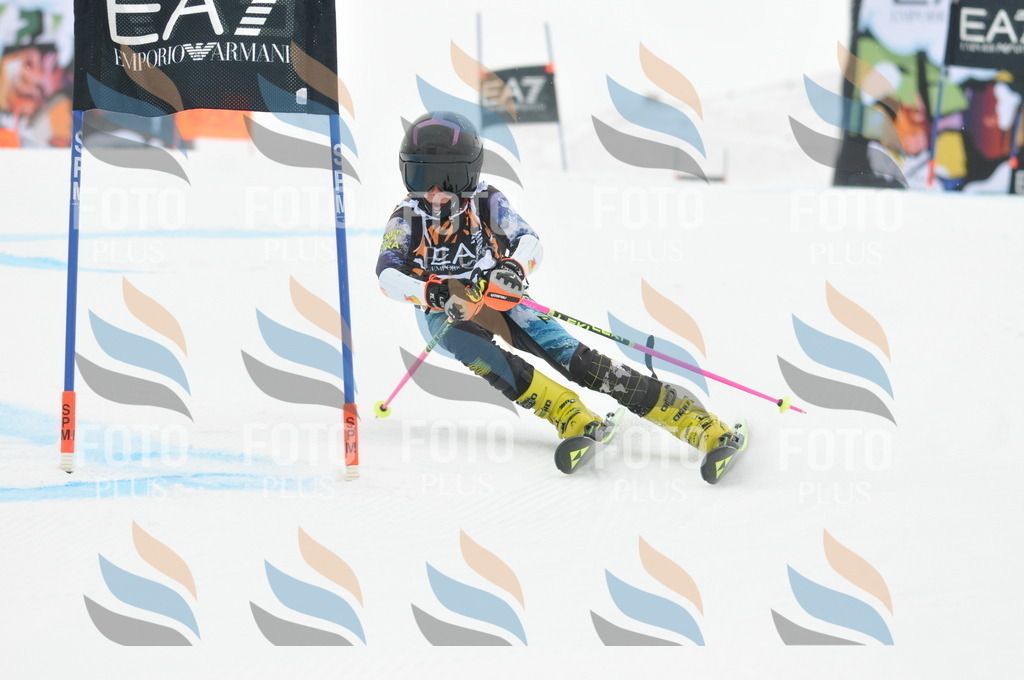 DSC_7714 | holidayphoto