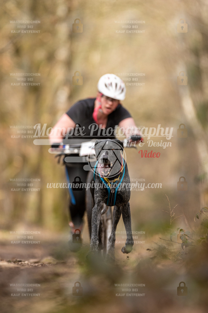 SPA_2023_SAM_Scooter-61 | PayLife