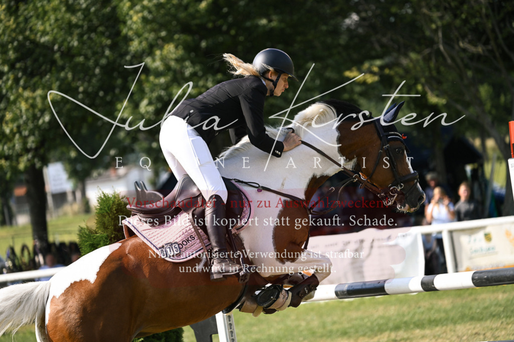 DSC_1108 | Pferde- und Turnierfotografie in Westsachsen. Pferdeportraits, Auftragszeichnungen und intuitive Kunst.