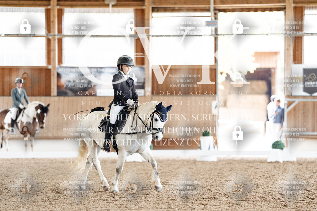 CK900905 | Turnierfotografie Pferdefotografie Trier Rheinland-Pfalz Pferdesport Reitsport Tierfotografie Sportfotografie Pferdevideo Pferdevideografie Equestrianvideography equestrianphotography  - Realisiert mit Pictrs.com