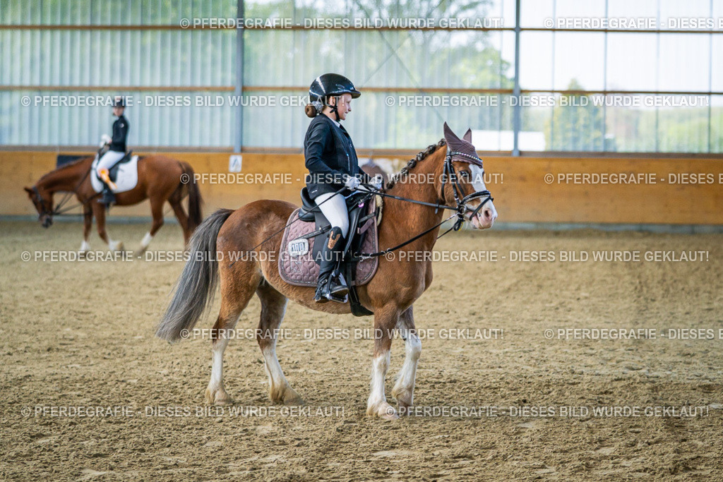 DSC03125 | Pferdegrafie