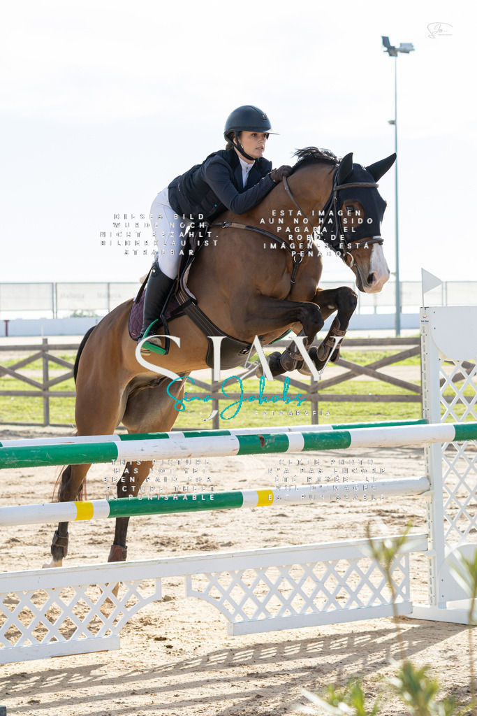 IMG_1667 | s-jay-photography - Realisiert mit Pictrs.com