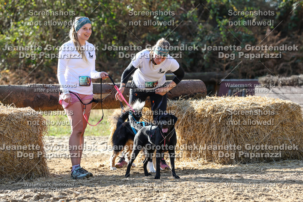 Dog Paparazzi - Strongdog 10-25-6019 | Dog Paparazzi Jeanette Grottendiek Fotografie & Videografie - Realisiert mit Pictrs.com