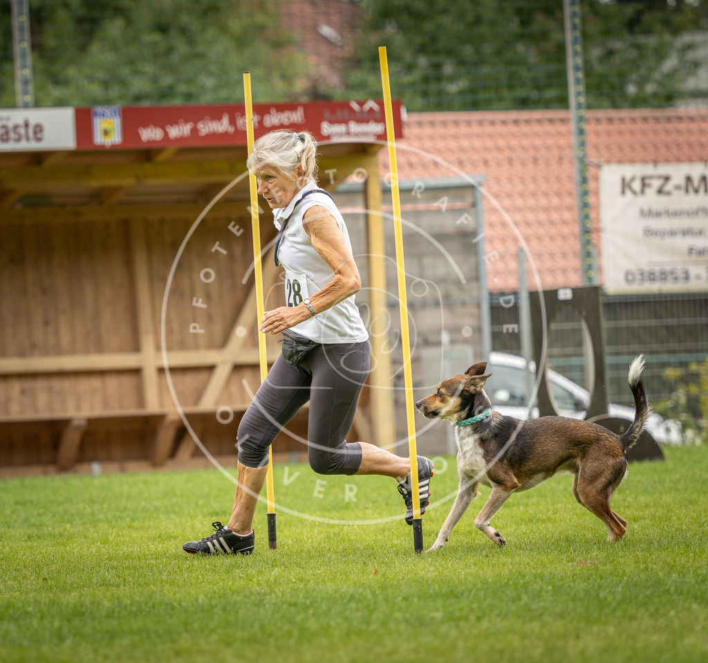 Pfotenfotografie_DV3A8214 | Hundefotografie, Tierfotograf, Pfotenfotografie, Fotoshooting Hund, Hunde Portrait, Hundesport, Hundeportraits, Heideshooting, Hunde, Sportfotograf, Hundefotograf, Turnierhundsport, THS,  - Realisiert mit Pictrs.com