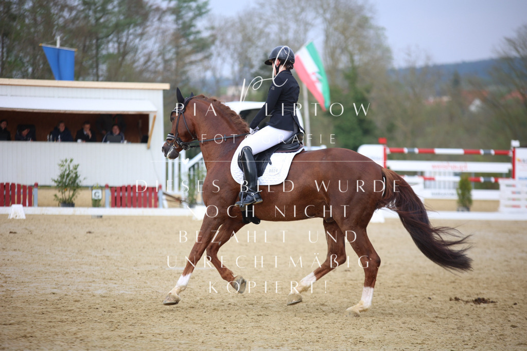 IMGT7645 | pl-fotografie