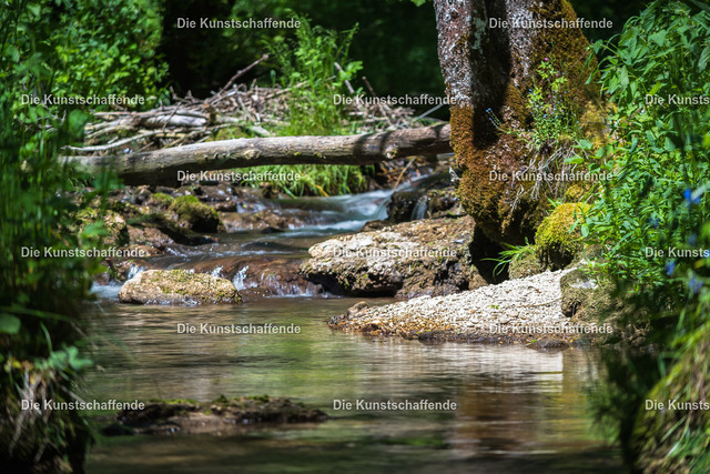 Manuela Strombach-Gauss-0048 | Kunstdruck-Postkarten von, analog und digital, handgemalten Postkarten und Bildern.
Außerdem Fotoprodukte in verschiedenen Ausführungen.
 - Realisiert mit Pictrs.com