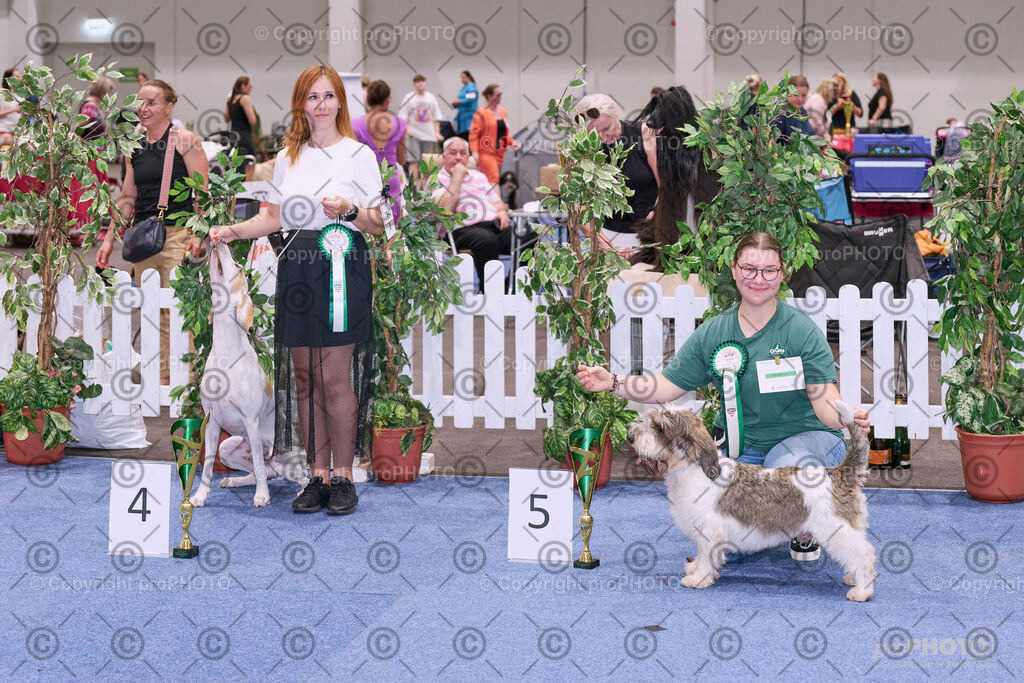 202406_ÖKV-IHA-Tulln24_NZ9_8705 | proPHOTO - Realisiert mit Pictrs.com