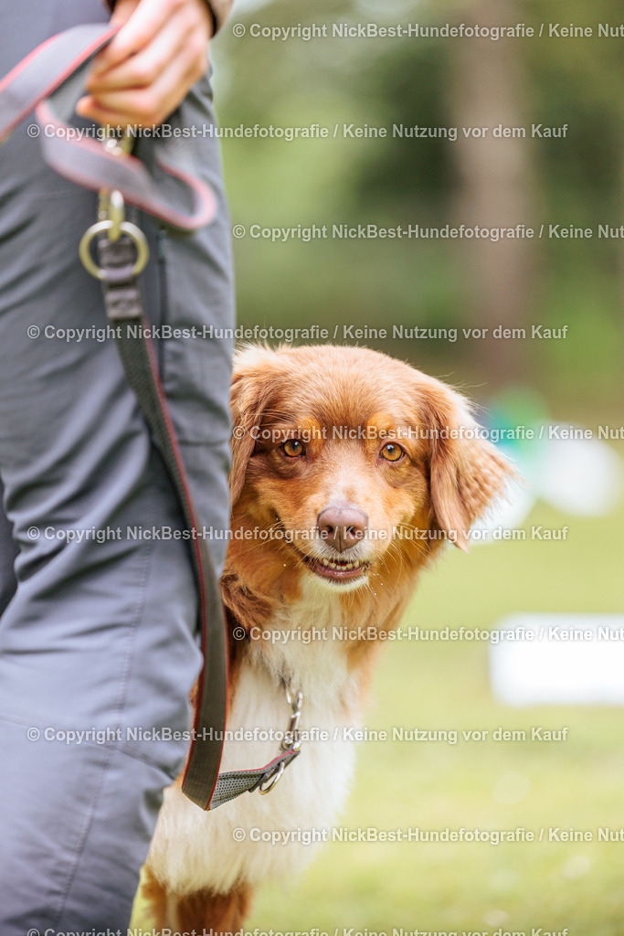 RO-Blumenthal-2026-Nickbest-Hundefotografie-3435 | Dein Hund! Dein Moment! Deine Erinnerungen! Hundefotografie in Bremen Blumenthal. Ich fange die besonderen Momente deines Vierbeiners ein – ob Indoor mit Blitzanlage oder in der freien Natur. Sicher dir dein Moment und dein Termin für eure Erinnerungen.