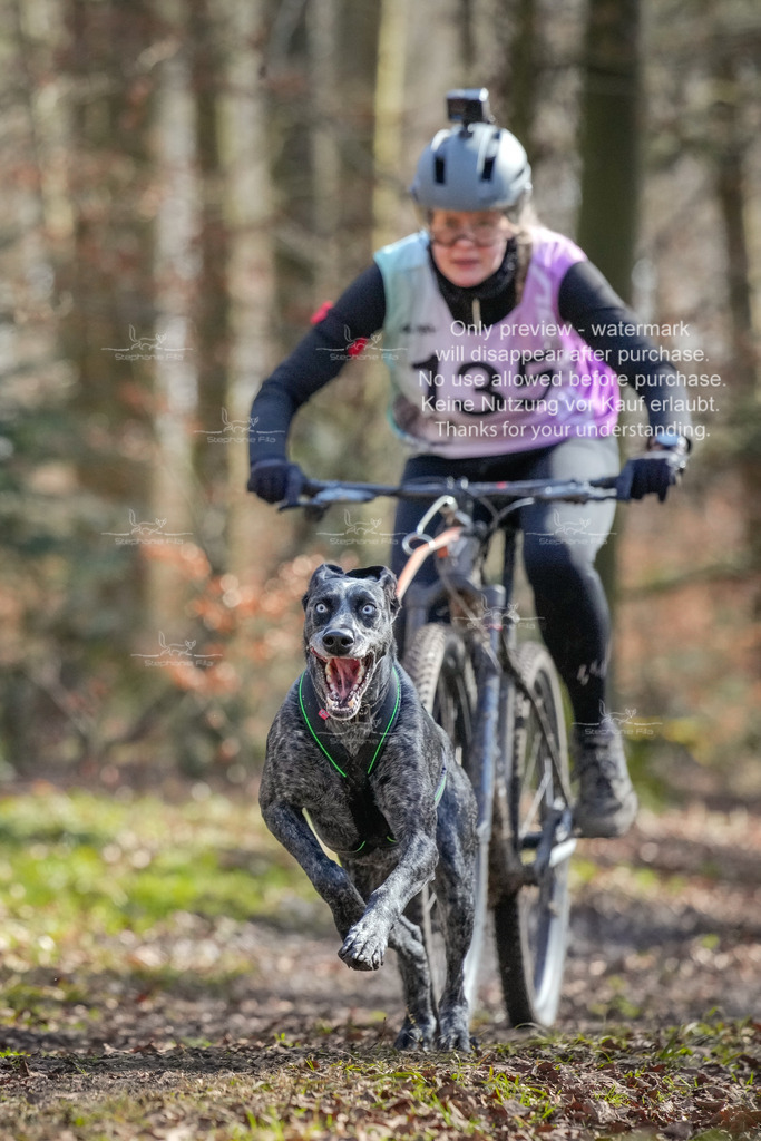 So3_Bike_2-4 | stephaniefillaphotographie - Realisiert mit Pictrs.com