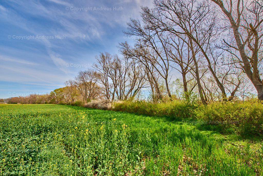 Am Elsterfloßgraben zwischen Lützen und Meuchen 03 | Bedeutsame Landschaften Deutschlands - Realisiert mit Pictrs.com