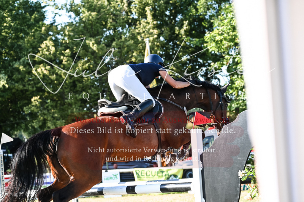 DSC_2979 | Pferde- und Turnierfotografie in Westsachsen. Pferdeportraits, Auftragszeichnungen und intuitive Kunst.