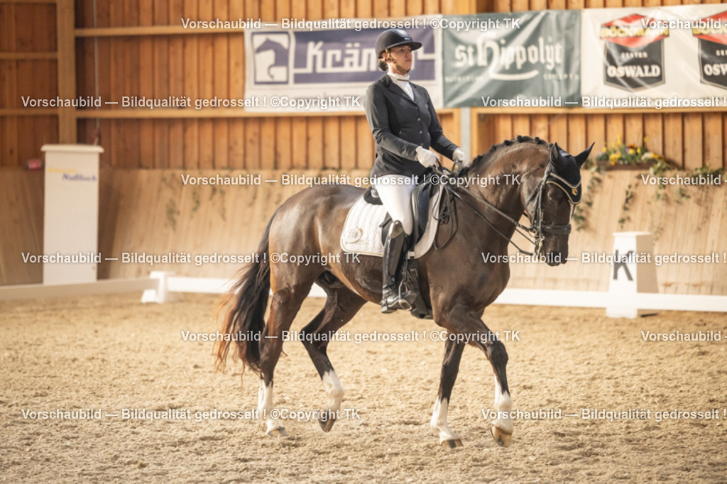 _D5A3440 | Emotionale Pferde- & People-Fotografie rund um Heidelberg, Leimen & Umgebung. Natürliche Fotos von Pferd, Mensch & Familie. Jetzt Termin sichern!