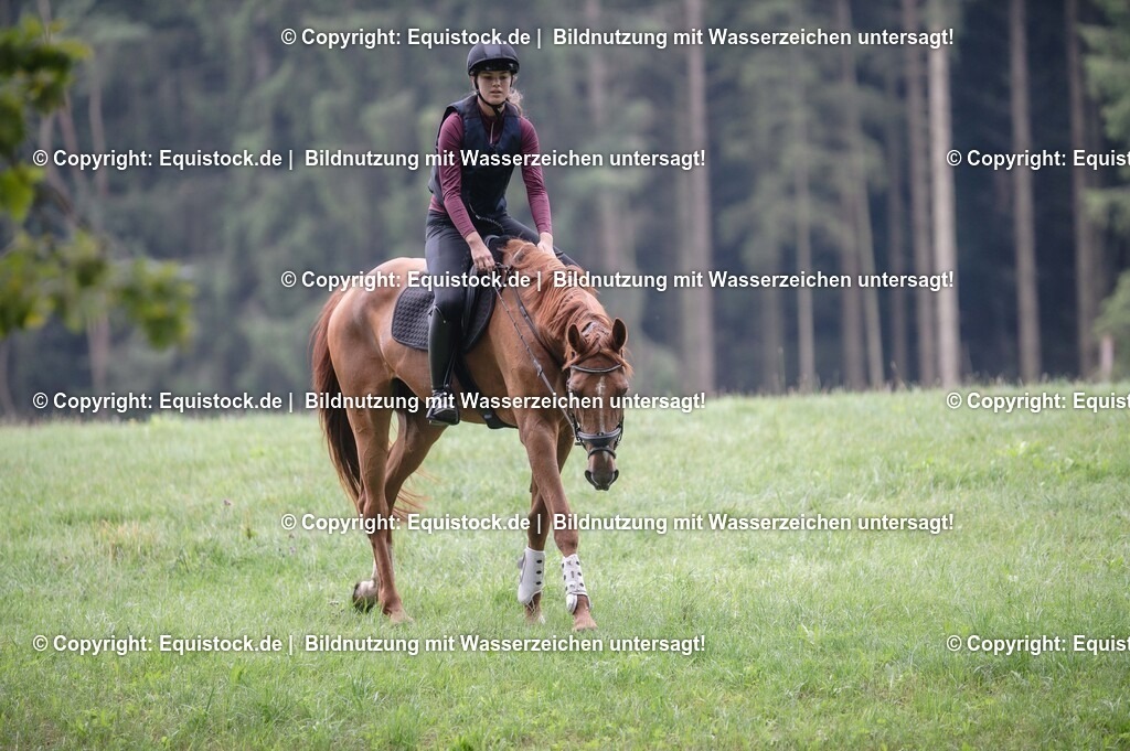 20250726_Vielseitigkeitslehrgang-Marbach_0242 | Foto: Thomas Hartig