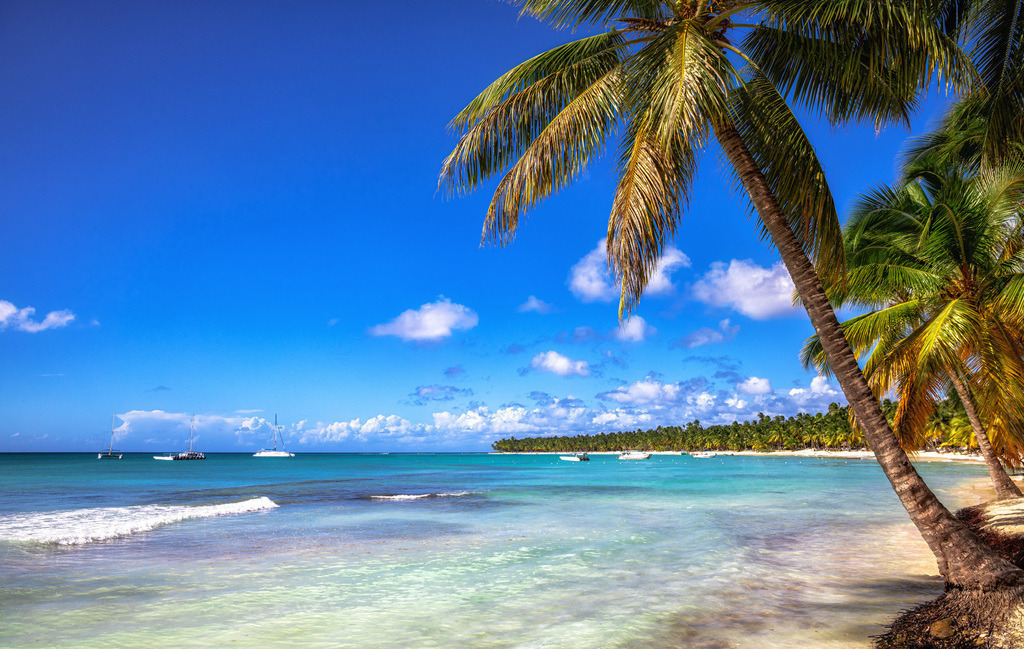 Meerblick mit Strand und Palmen in der Karibik | Auf einen traumhafte Sandstrand. Das türiksblaue Meer lädt ein um ein kleine Bad zu nehmen. Danach unter einer Palme relaxen. Ein Traum! - Realisiert mit Pictrs.com