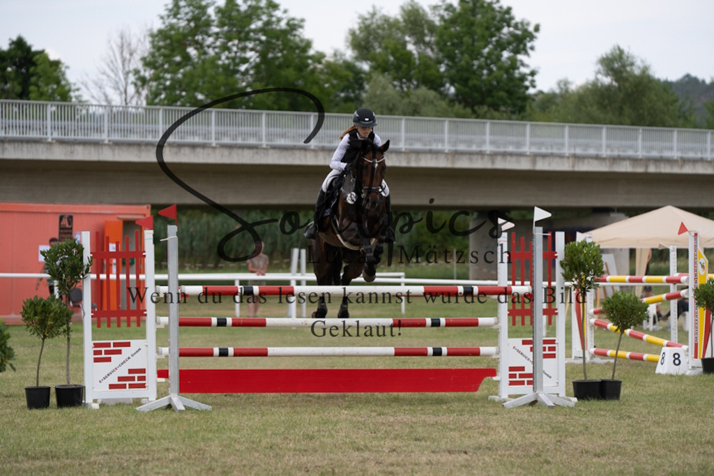 A7V02462 | Pferdefotograf