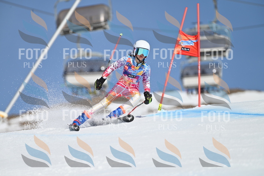 BGV_9028 | holidayphoto