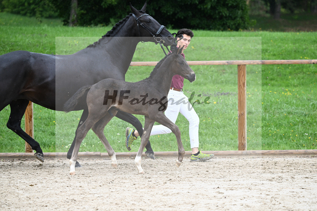 Kat-Nr. 34 HF Secret_Herrmann_25230214 | hf-fotografie - Realizzato con Pictrs.com