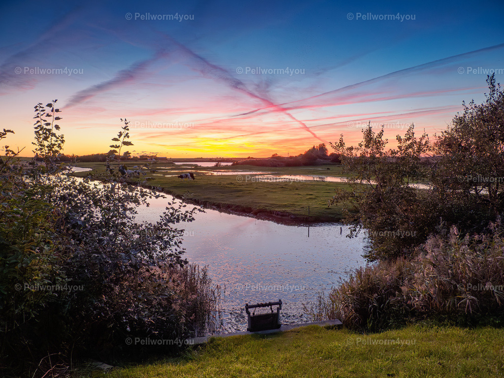 _9241256 | Pellwormer Bilder und Fotos als Poster, auf Leinwand mit Keilrahmen, hinter Acrylglas, auf Alu-Dibond oder Forex-Platte und vieles mehr. Zum verschenken, für die Ferienwohnung oder für zu Hause. - Realisiert mit Pictrs.com
