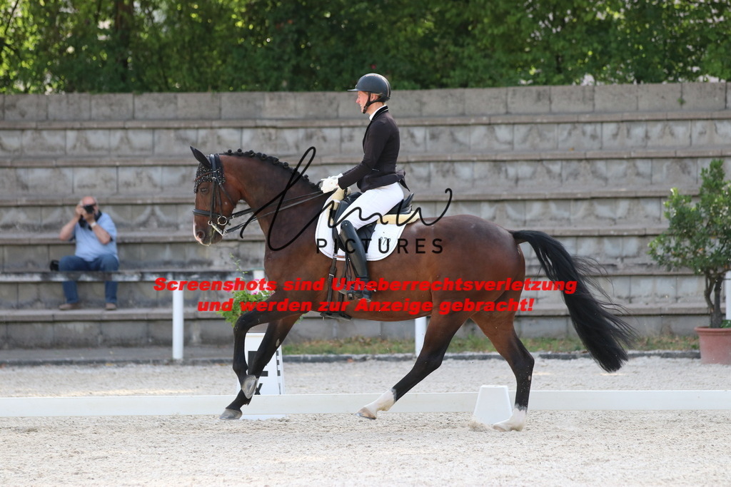 IMG_5738 | lmwpictures - Realisiert mit Pictrs.com