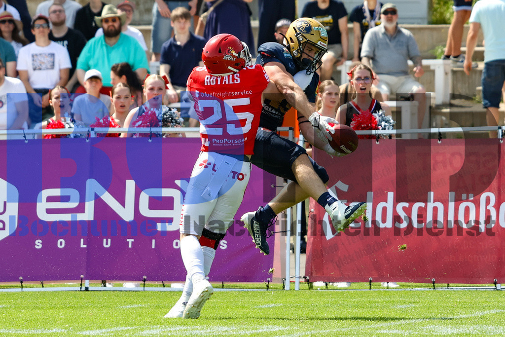 GFL: Potsdam Royals vs. Dresden Monarchs{date} -  | {headline}(Foto: Thomas Sobotzki / BOND) - Realisiert mit Pictrs.com