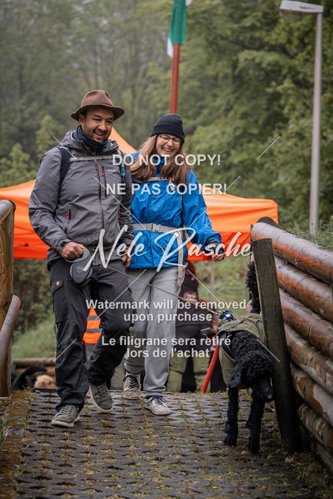 nelerasche_SoAuszug_179 | nelerasche