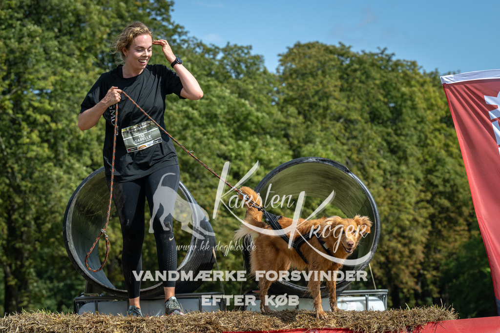 1307_ZZ92256 | kk-dogfotos