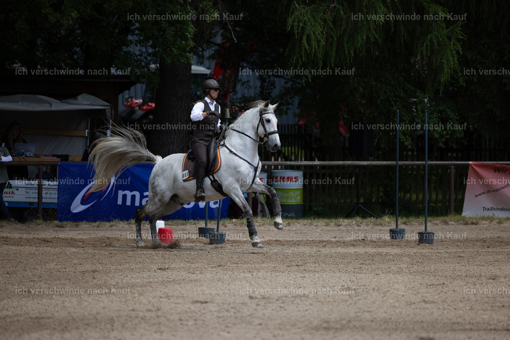 Masterclass_stoibphotography_C2_C8015.CR3 | working equitationturnier fotograf videograf stoibphotography marixx film working equitation deutschland reitsport turnierfotografie eventfotografie equestrian events