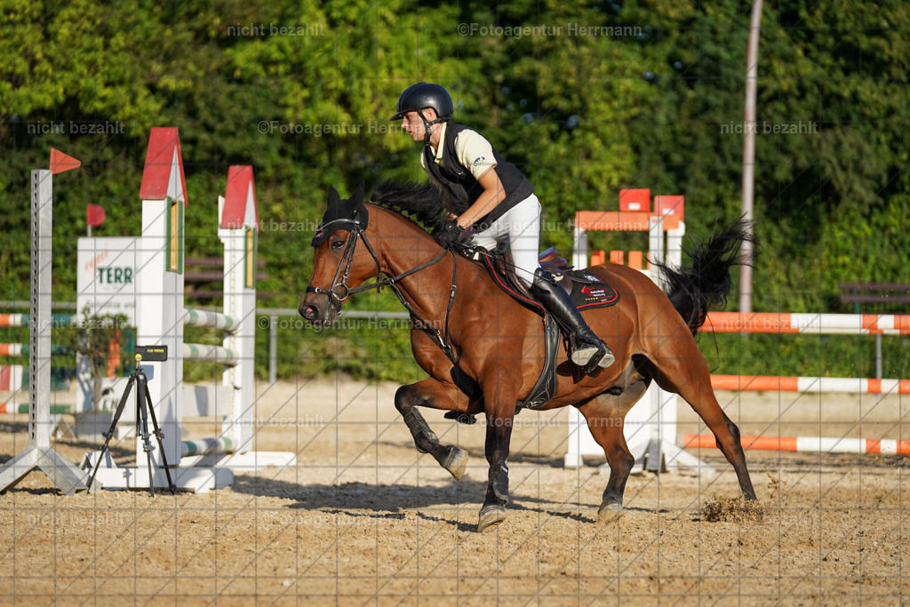 20240824-FAH08784 | Thierhaupten 2024, Bayerisches Landesponyturnier, Turnierbilder, Ponybilder, Turnierfotografen Bayern, Fotoagentur Herrmann