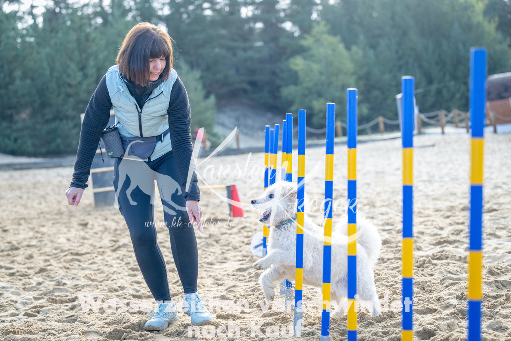 0955_ZZ93130 | kk-dogfotos