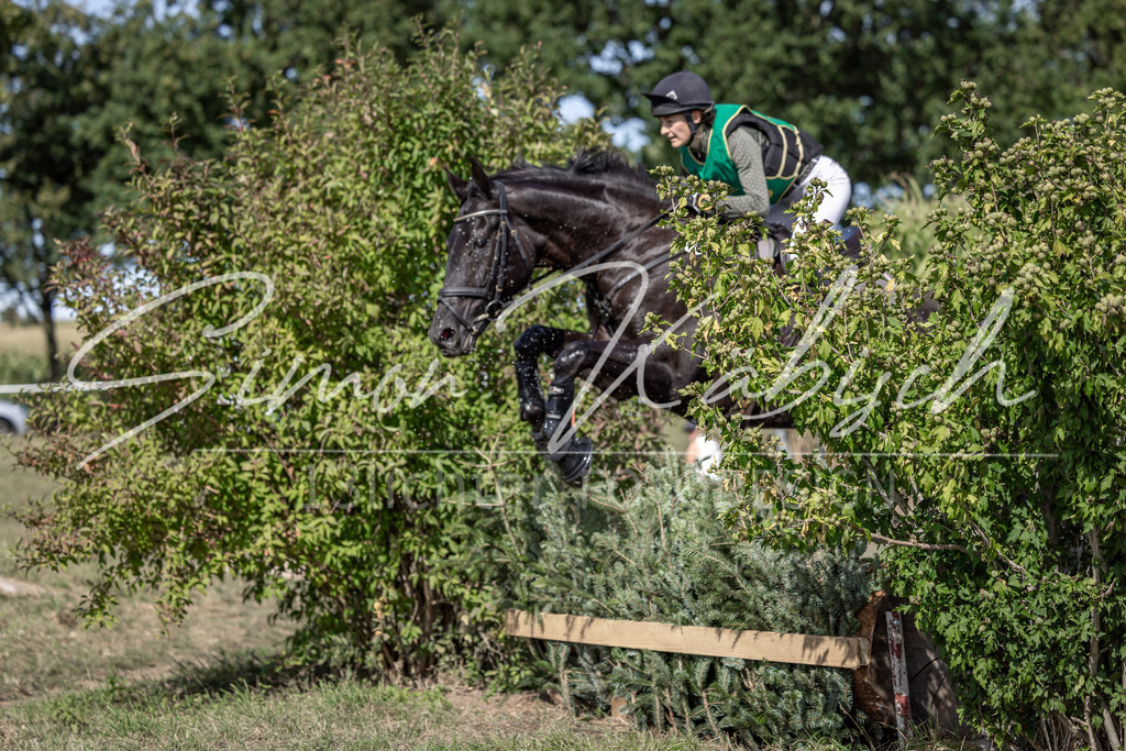 20250907-_3LI1638 | Tierfotografie Pferde, Hunde, Katzen, Haustiere.
Turnierfotografie Reitturniere, Reiten, Springreiten, Dressur in Hanau, dem Main-Kinzig-Kreis und dem Rhein-Main- Gebiet um Frankfurt