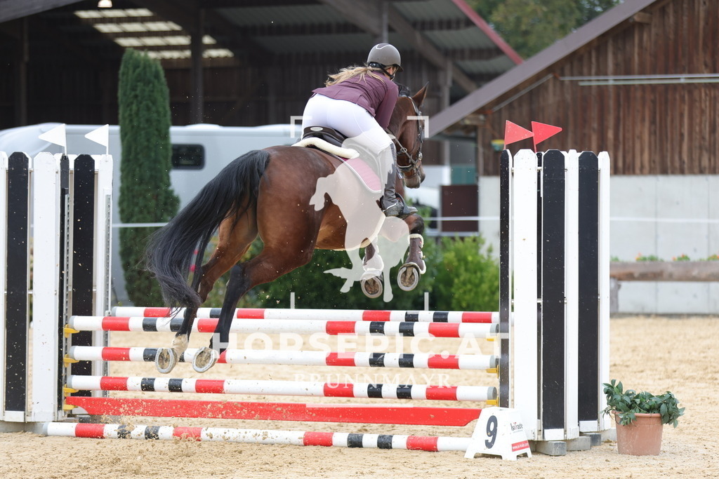 0P6A3897 | Willkommen bei Brunnmayr - Design & Fotografie – Ihrem Spezialisten für Reitturniere und Pferdeveranstaltungen in Oberösterreich, Salzburg und Bayern! Seit über 17 Jahren sind wir leidenschaftlich dabei.