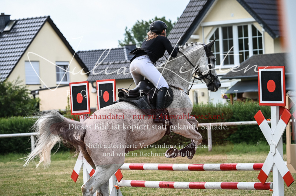 DSC_8341 | Pferde- und Turnierfotografie in Westsachsen. Pferdeportraits, Auftragszeichnungen und intuitive Kunst.