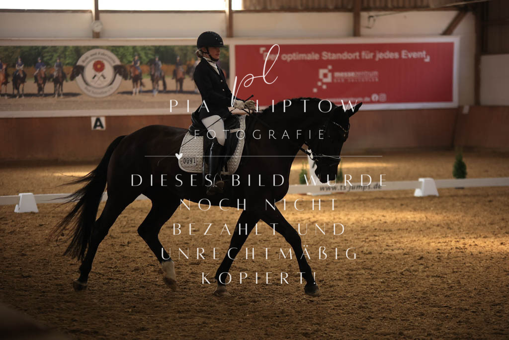 IMGT8511 | pl-fotografie