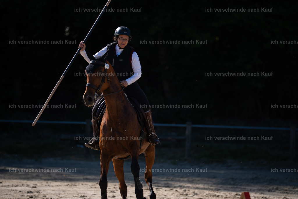 WL_SP_140_Stoibphotography_SO14401 | working equitationturnier fotograf videograf stoibphotography marixx film working equitation deutschland reitsport turnierfotografie eventfotografie equestrian events